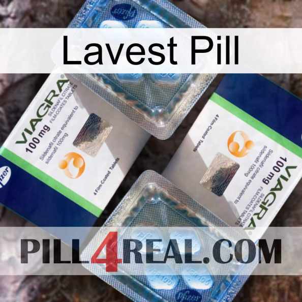 Lavest Pill viagra5.jpg